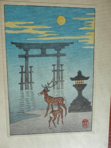 Deer at Miyajima