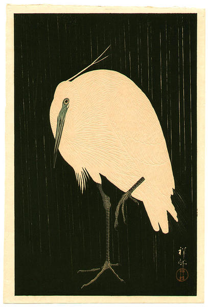 Egret on Rainy Night- Heron