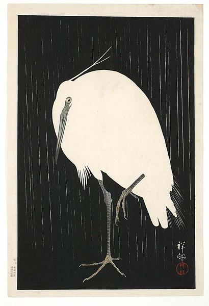 Egret on Rainy Night- Heron