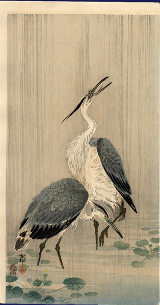 Egrets in Rain