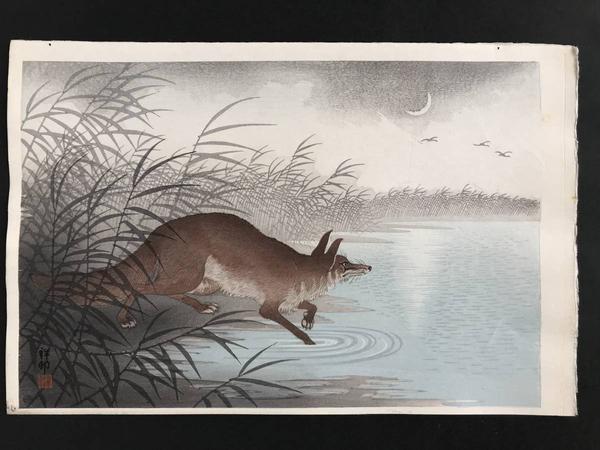 Fox by a pond on a moonlit night