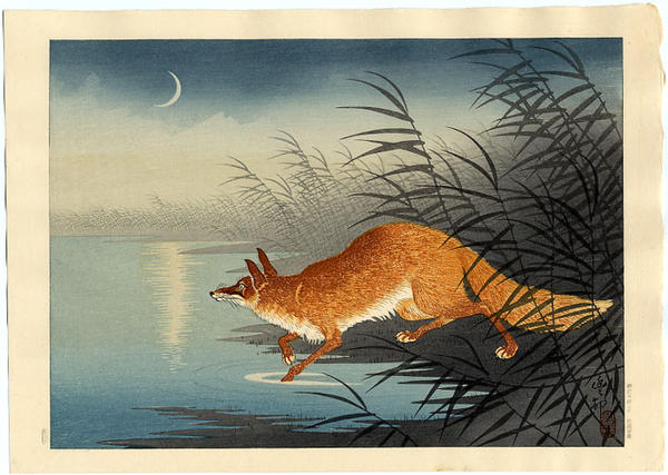 Fox in the Reeds
