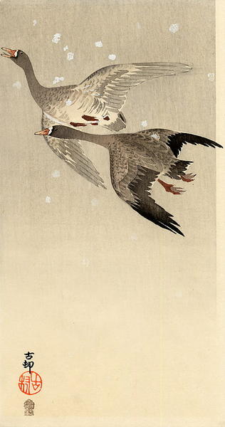 Geese flying in snow