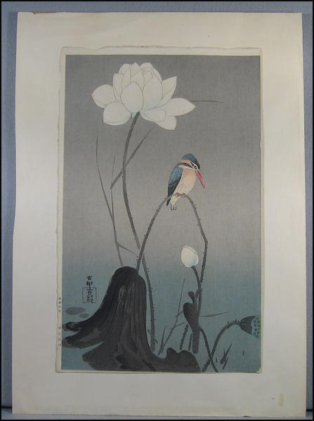 Kingfisher and flower