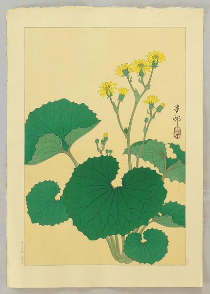 Ligularia