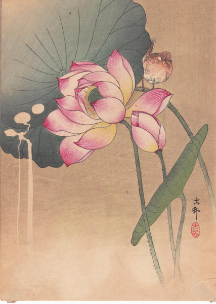 Lotus Flower and Finch