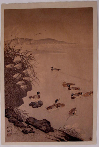 Mallard Ducks in Coastal Scene