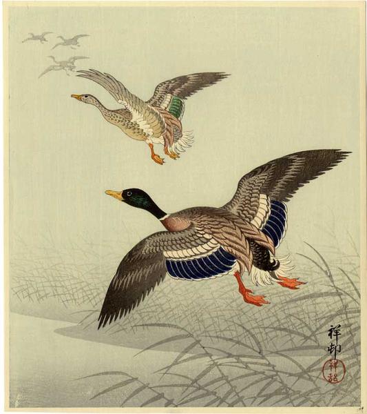Mallards in Flight