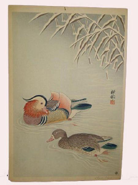 Mandarin Ducks in Snow