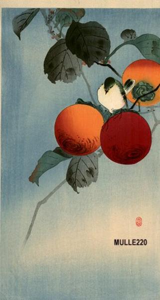 Nuthatch and Persimmon