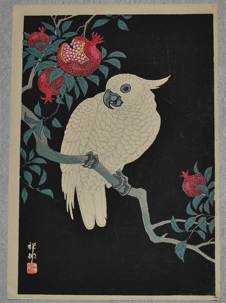 Parrot and Pomegranate- Cockatoo