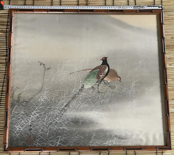 Pheasants