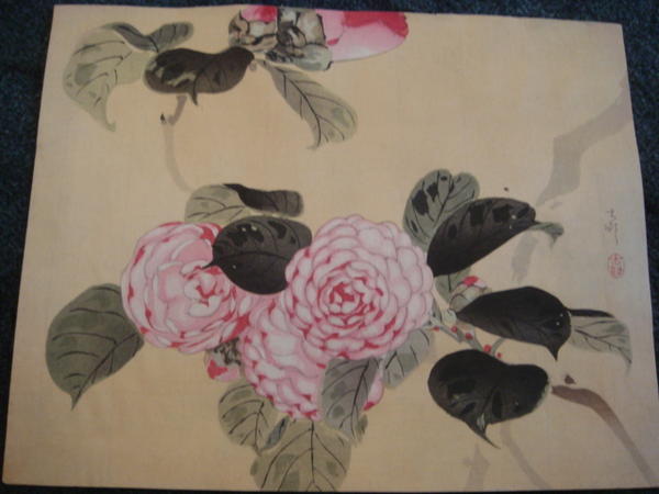 Pink Flowers