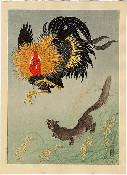 Rooster and Weasel