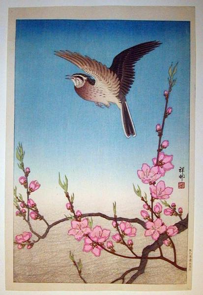 Skylark Above Blossoming Peach