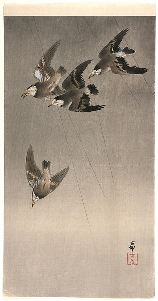 Starlings in flight