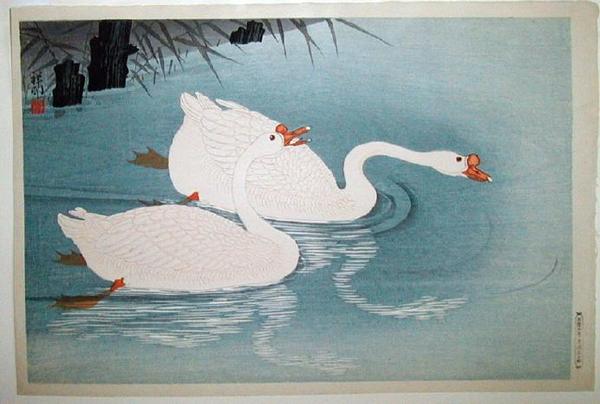 Swans & Reeds