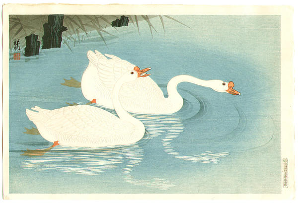 Swans & Reeds
