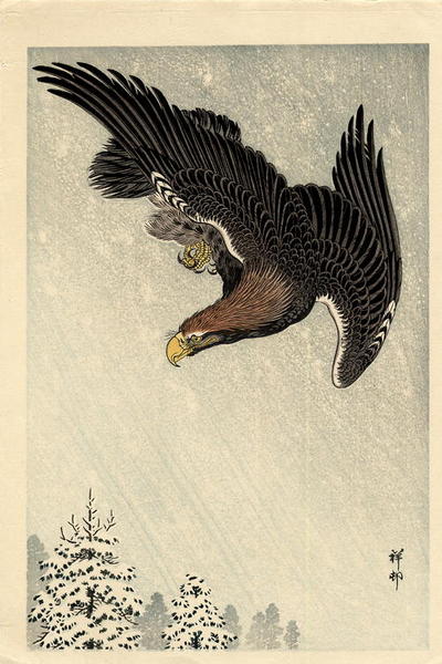 An Eagle in a Snowstorm