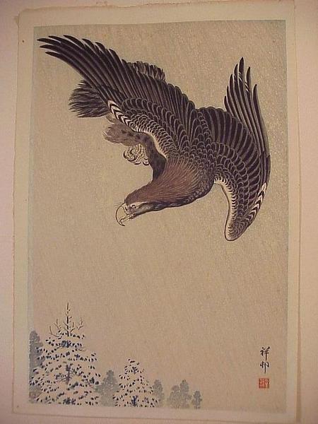 An Eagle in a Snowstorm