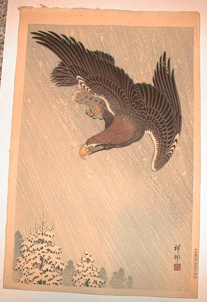 An Eagle in a Snowstorm