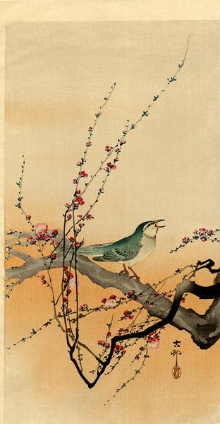 The Songbird