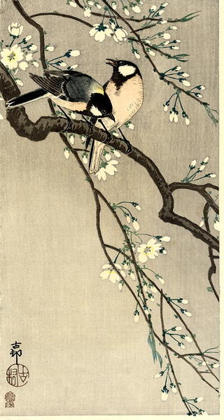 Tits on Cherry Branch