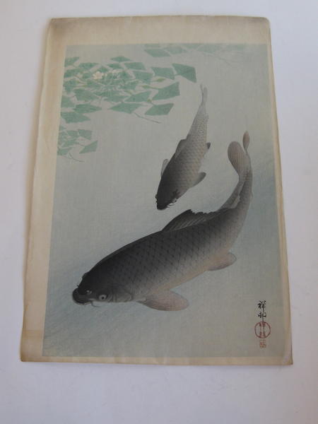 Two Carp