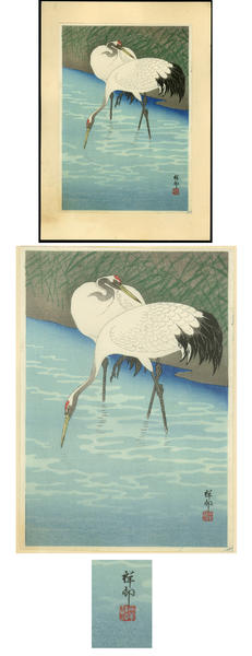 Two Herons or Cranes feeding in the marshes