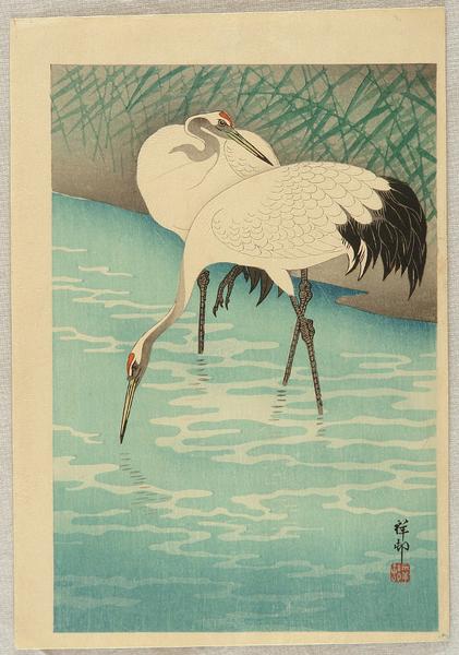 Two Herons or Cranes feeding in the marshes