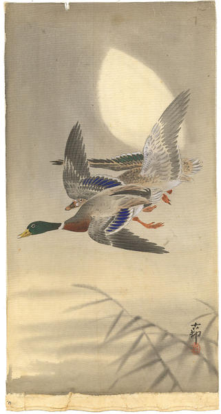 Two wild ducks flying in front of the moon