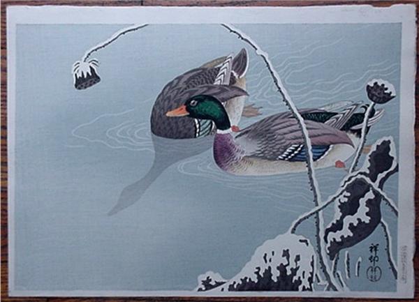 Unknown, ducks in the winter