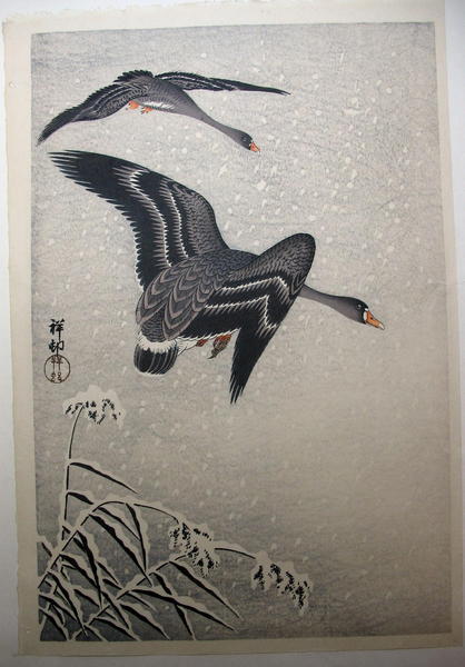 geese flying