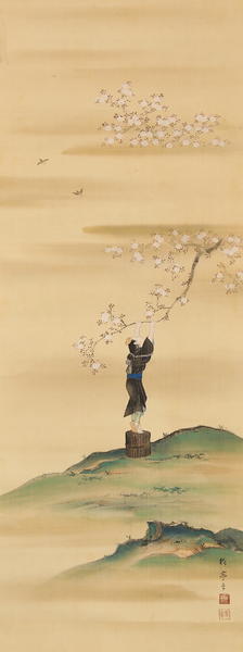 Man Under a Cherry Tree