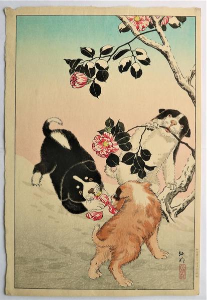 Camellia and Puppies in Snow