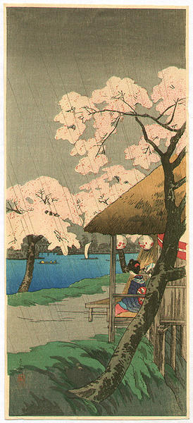 Cherry Blossoms at Sumida Bank in Rain