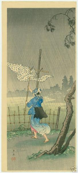 Evening Shower
