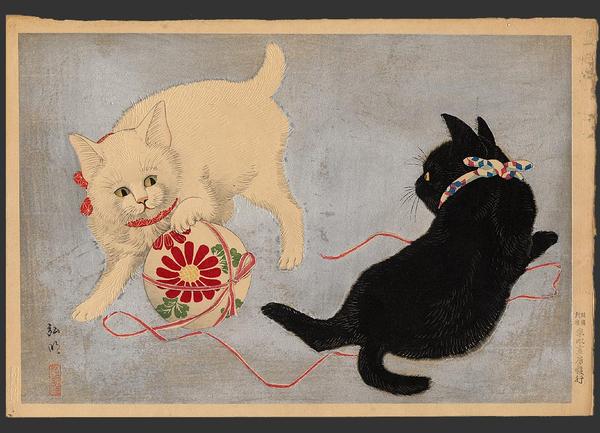 Playing cats