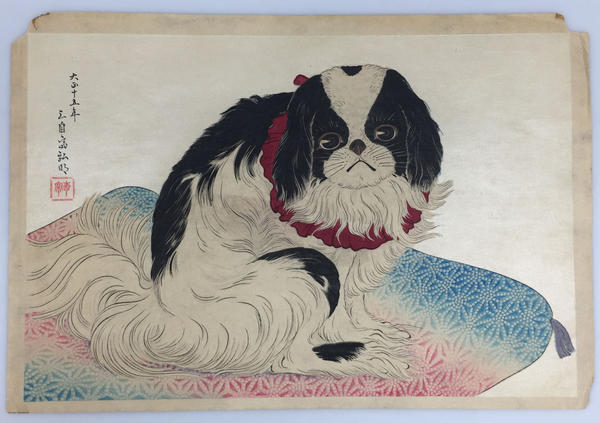 Pug on a Cushion