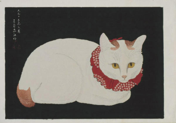 Tama