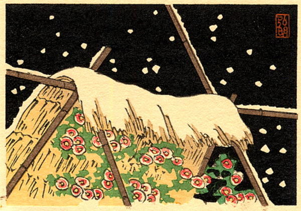 The Early Spring Flowers