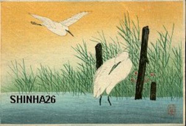 Two Egrets