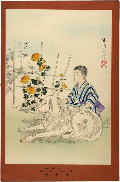 Play with the dog