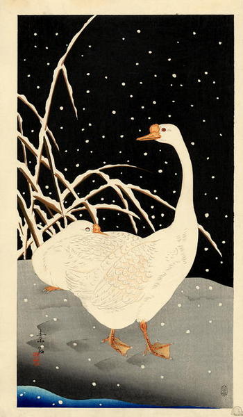 Geese in Snow