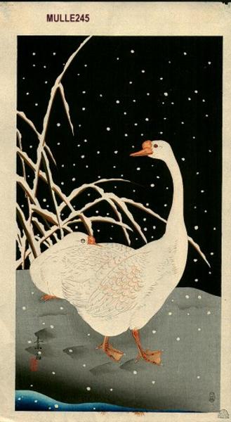 Geese in Snow