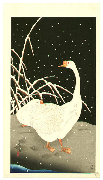Geese in Snow