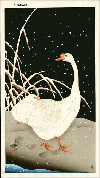 Geese in Snow