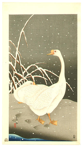 Geese in Snow