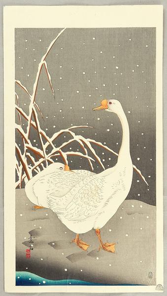 Geese in Snow