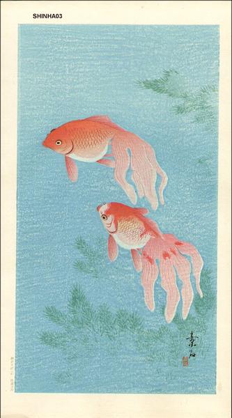 Goldfish